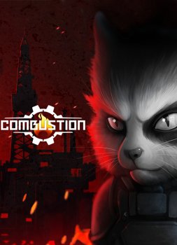 Combustion
