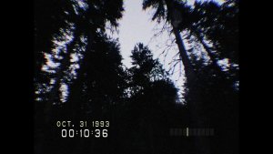 DON’T SCREAM скачать торрент