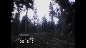 DON’T SCREAM скачать торрент