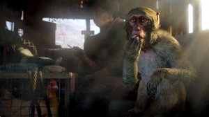 Far Cry 4 скачать торрент