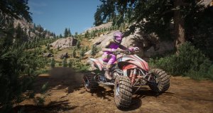 MX vs ATV Legends скачать торрент