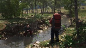 SCUM скачать торрент