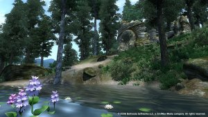 The Elder Scrolls IV Oblivion - Game of the Year Edition Deluxe скачать торрент