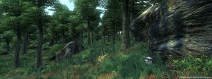 The Elder Scrolls IV Oblivion - Game of the Year Edition Deluxe скачать торрент