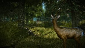 The Witcher 2: Assassins of Kings скачать торрент