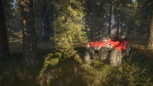 TheHunter: Call of the Wild скачать торрент