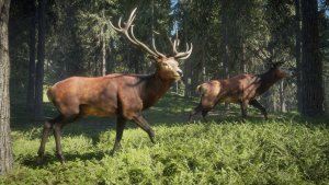 TheHunter: Call of the Wild скачать торрент