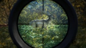 TheHunter: Call of the Wild скачать торрент