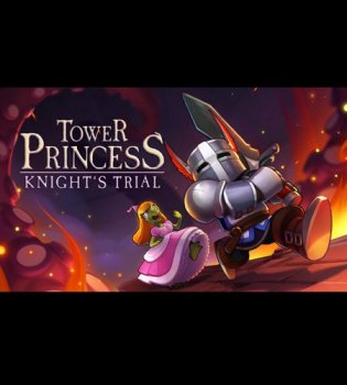 Tower Princess: Knight's Trial