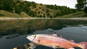 Ultimate Fishing Simulator скачать торрент