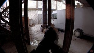 Unrecord скачать торрент